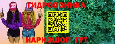 тгк Дубна