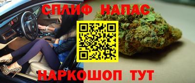 тгк Дубна