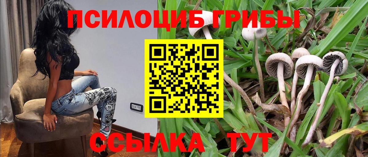 наркошоп  Псилоцибиновые грибы Magic Shrooms  Вход с VPN  Мариинск 