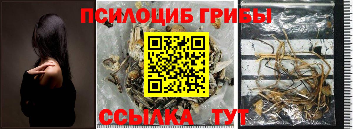 Псилоцибиновые грибы мухоморы Мариинск